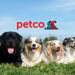 Petco Clermont dog adoption day with The Animal League