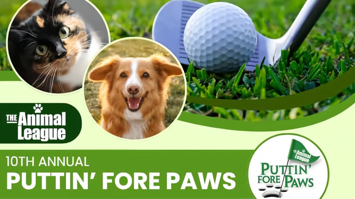Puttin' Fore Paws 2025